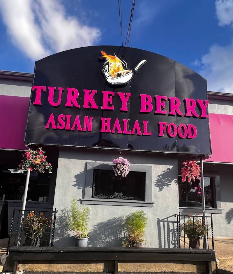 Turkey Berry logo