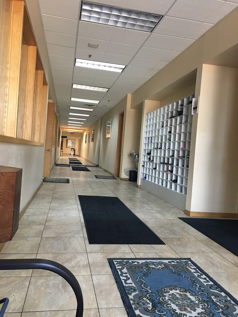 Islamic Institute of Knowledge logo