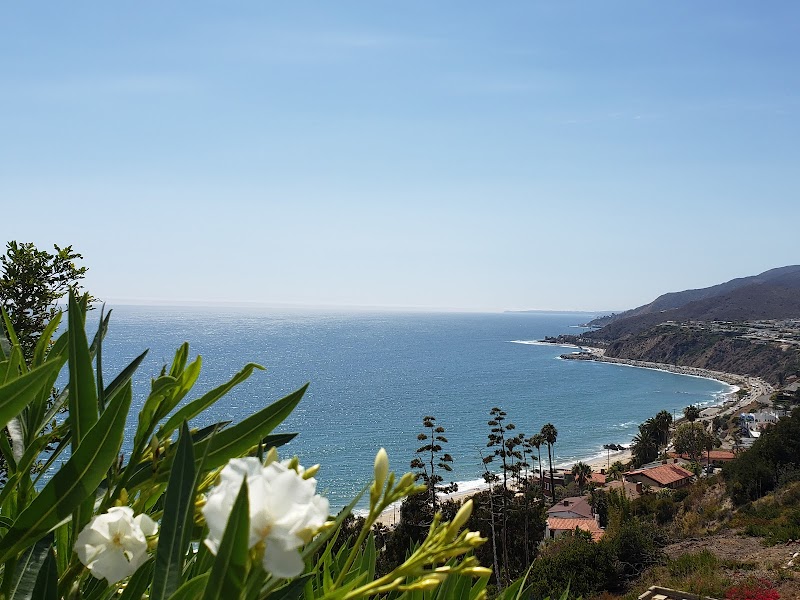 Malibu Chamber of Commerce logo