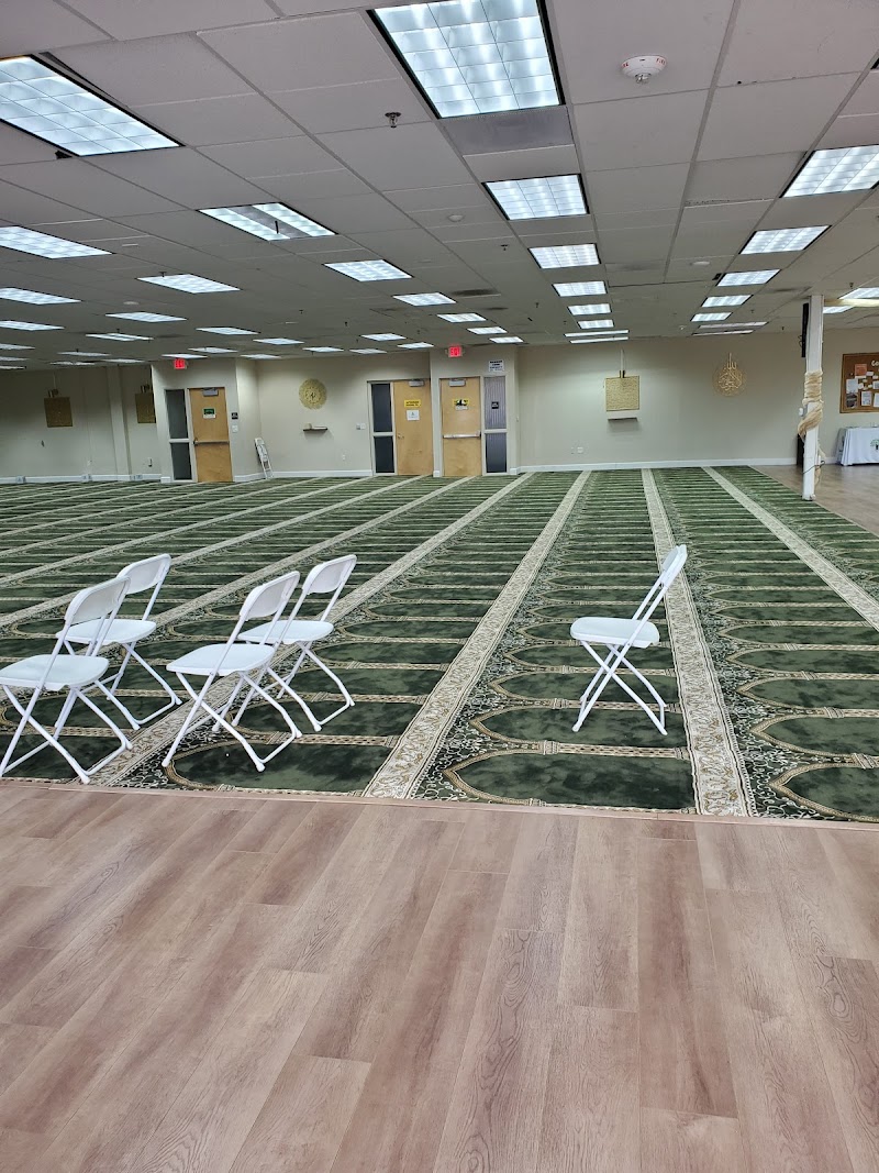 Tarbiya House Roseville logo